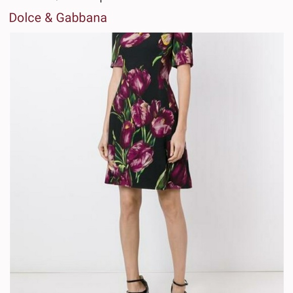 Pics - Picture 9 of 14